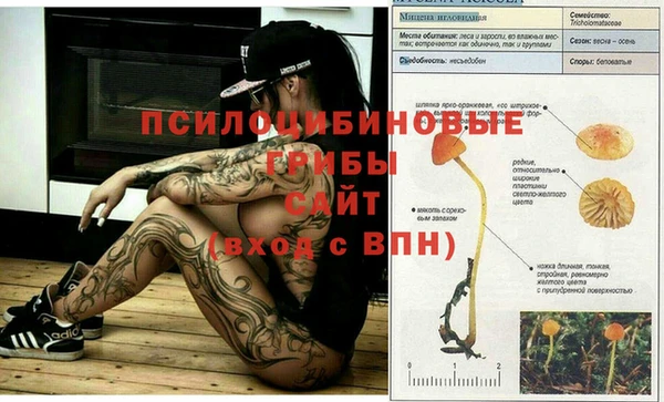 спайс Армянск