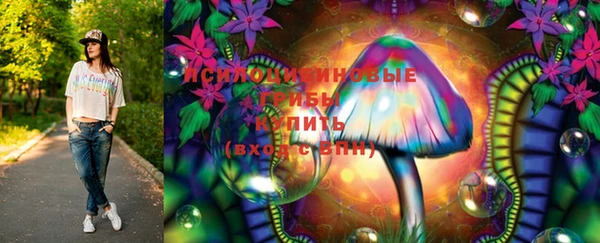 прущие грибы Арсеньев
