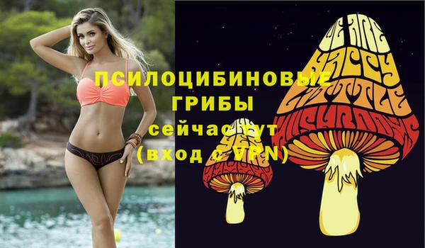 прущие грибы Арсеньев
