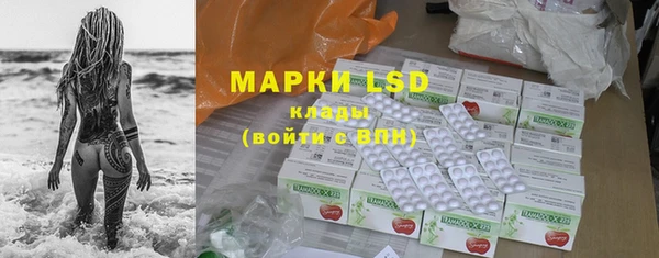 прущие грибы Арсеньев